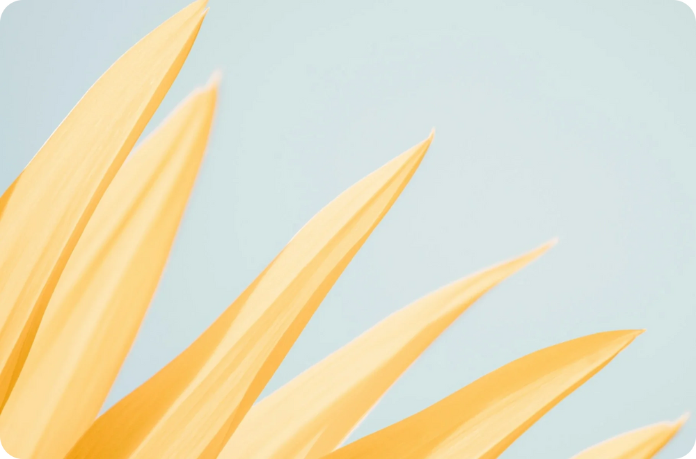 Cutting-Edge Wearable Tech: Innovative Solutions for Emotional Wellness